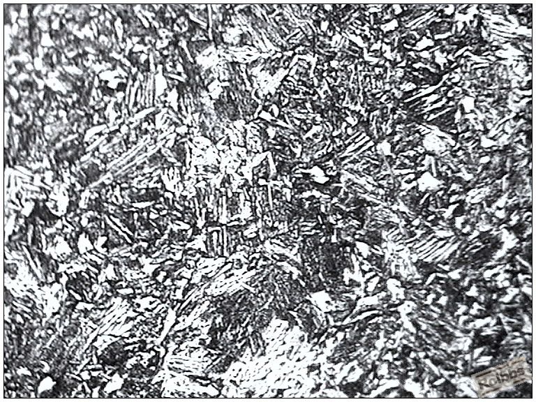 image003.jpg
