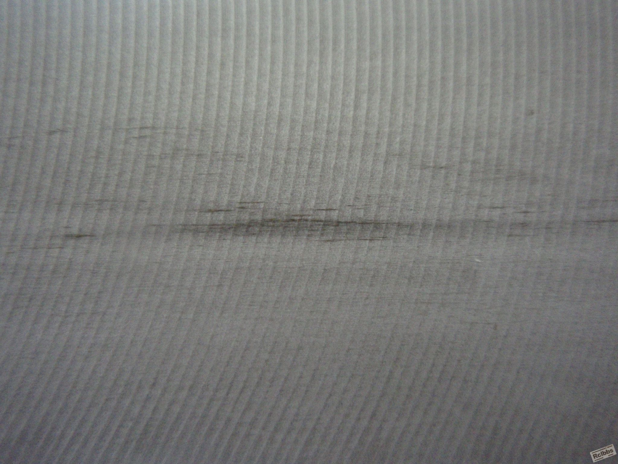 P9150014.JPG