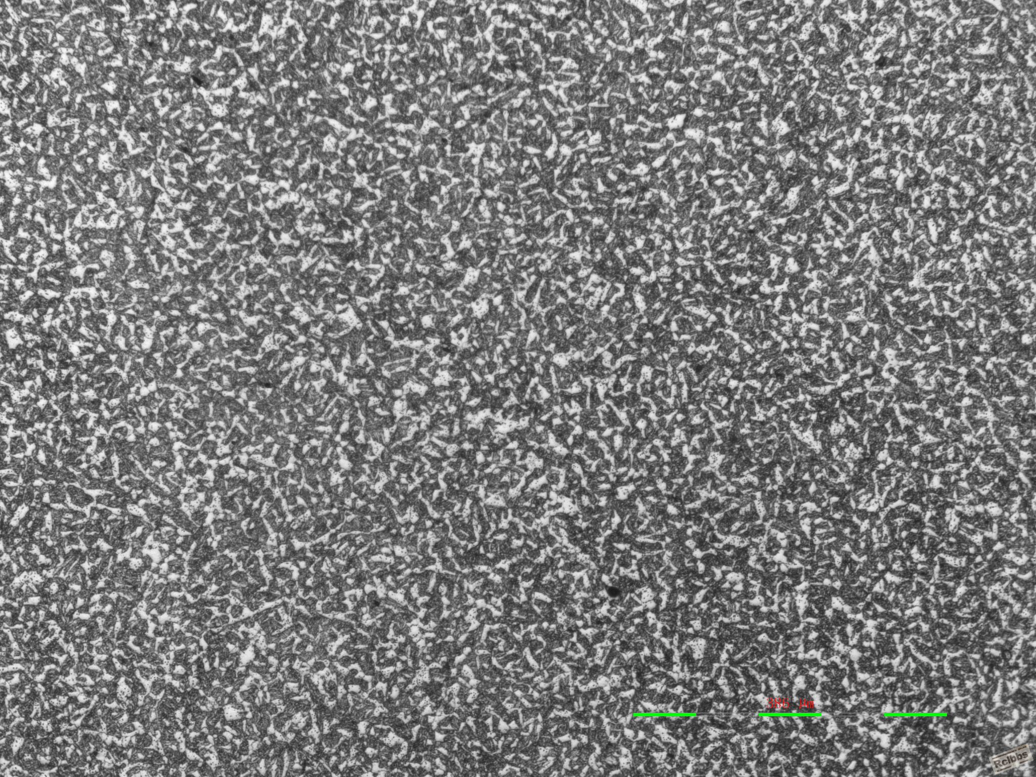 X40不锈钢 100X  2.jpg