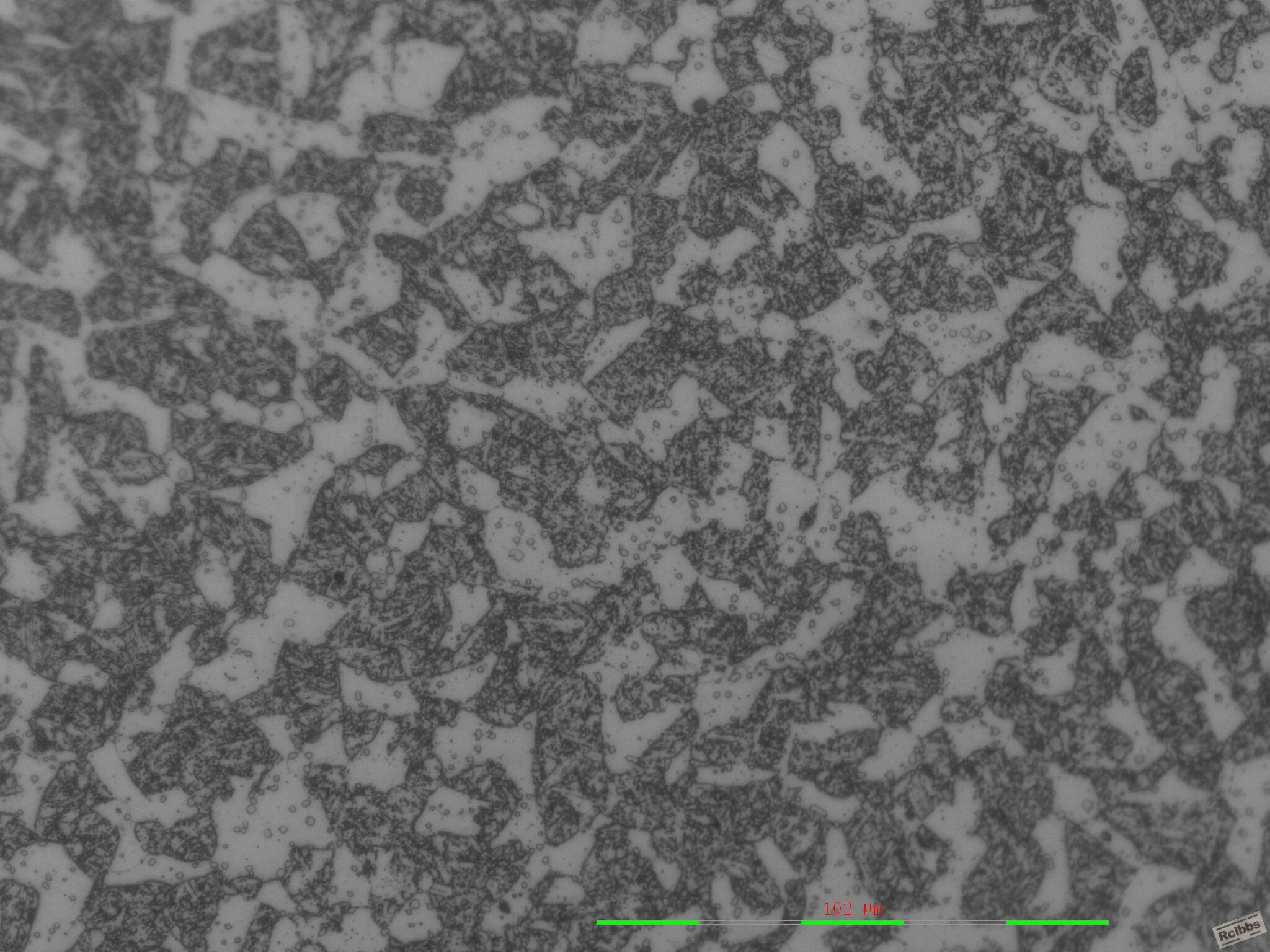 X40不锈钢 500X  2.jpg