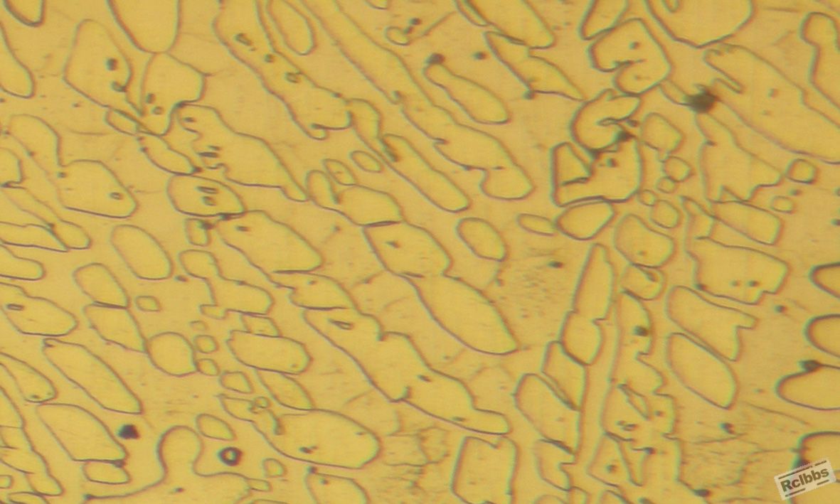 ASTM A995-4A X100