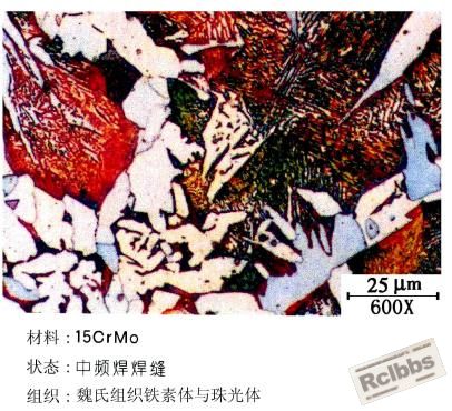 魏氏组织铁素体与珠光体