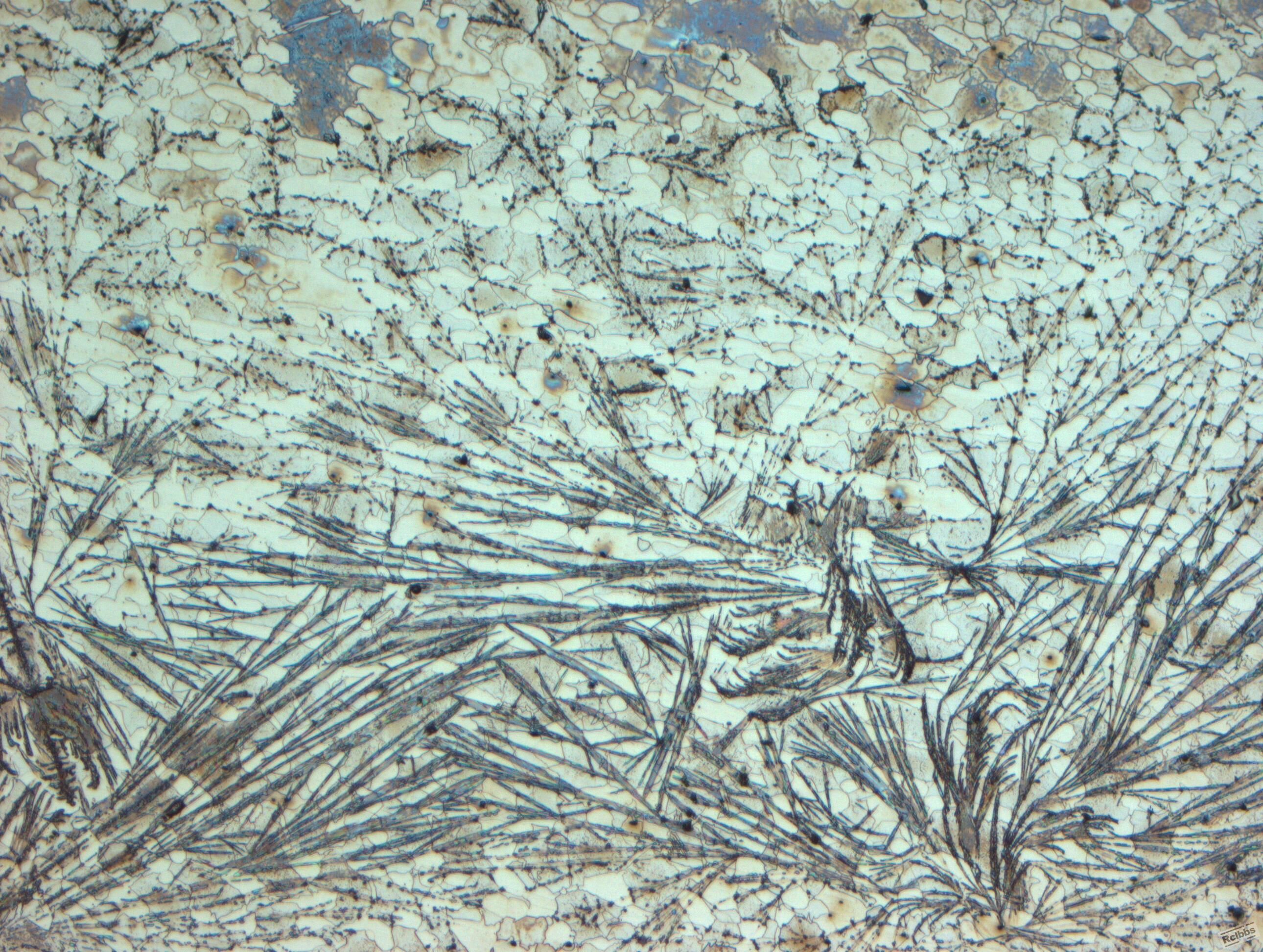 S32205-100A.jpg