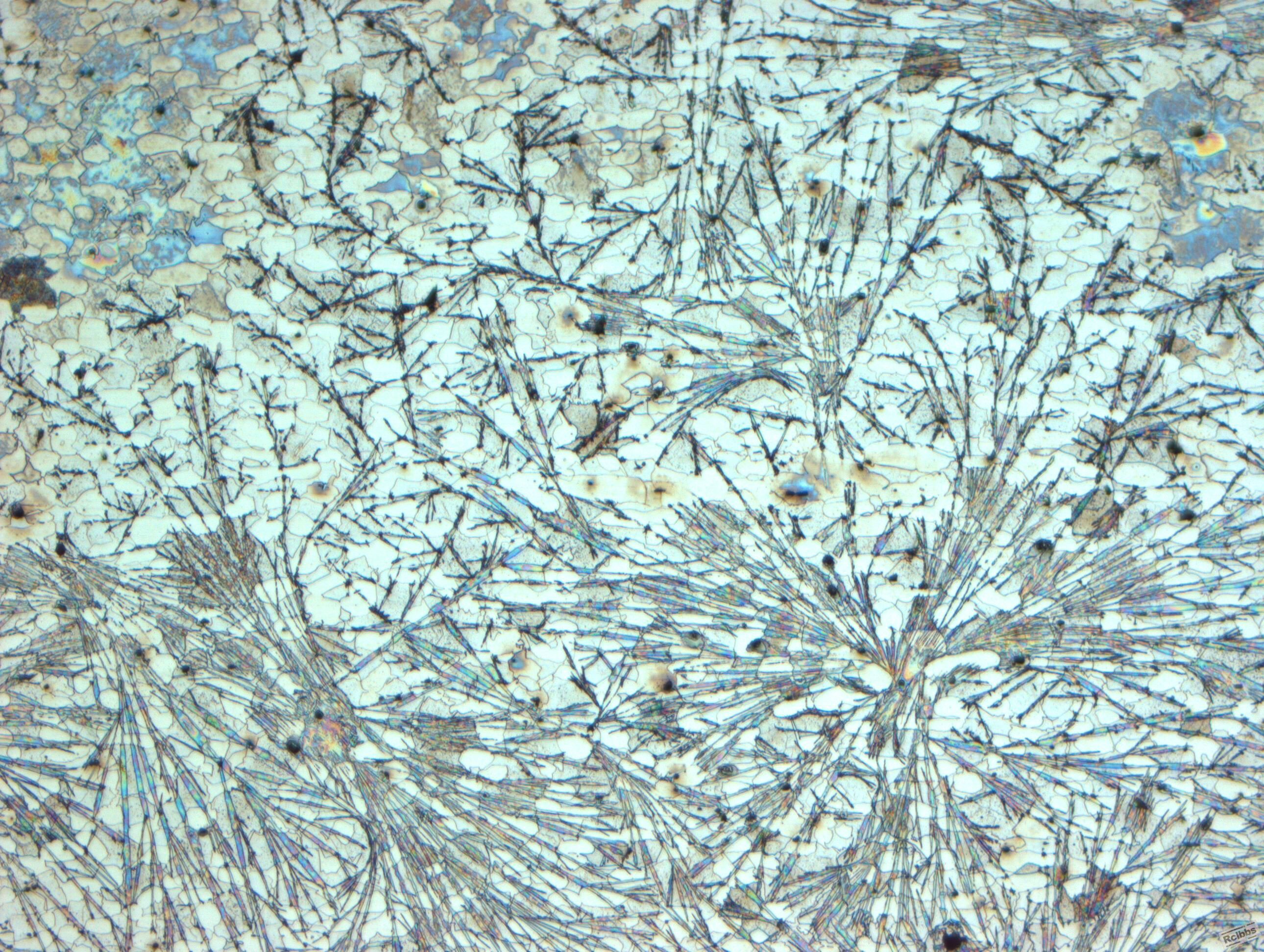 S32205-100.jpg