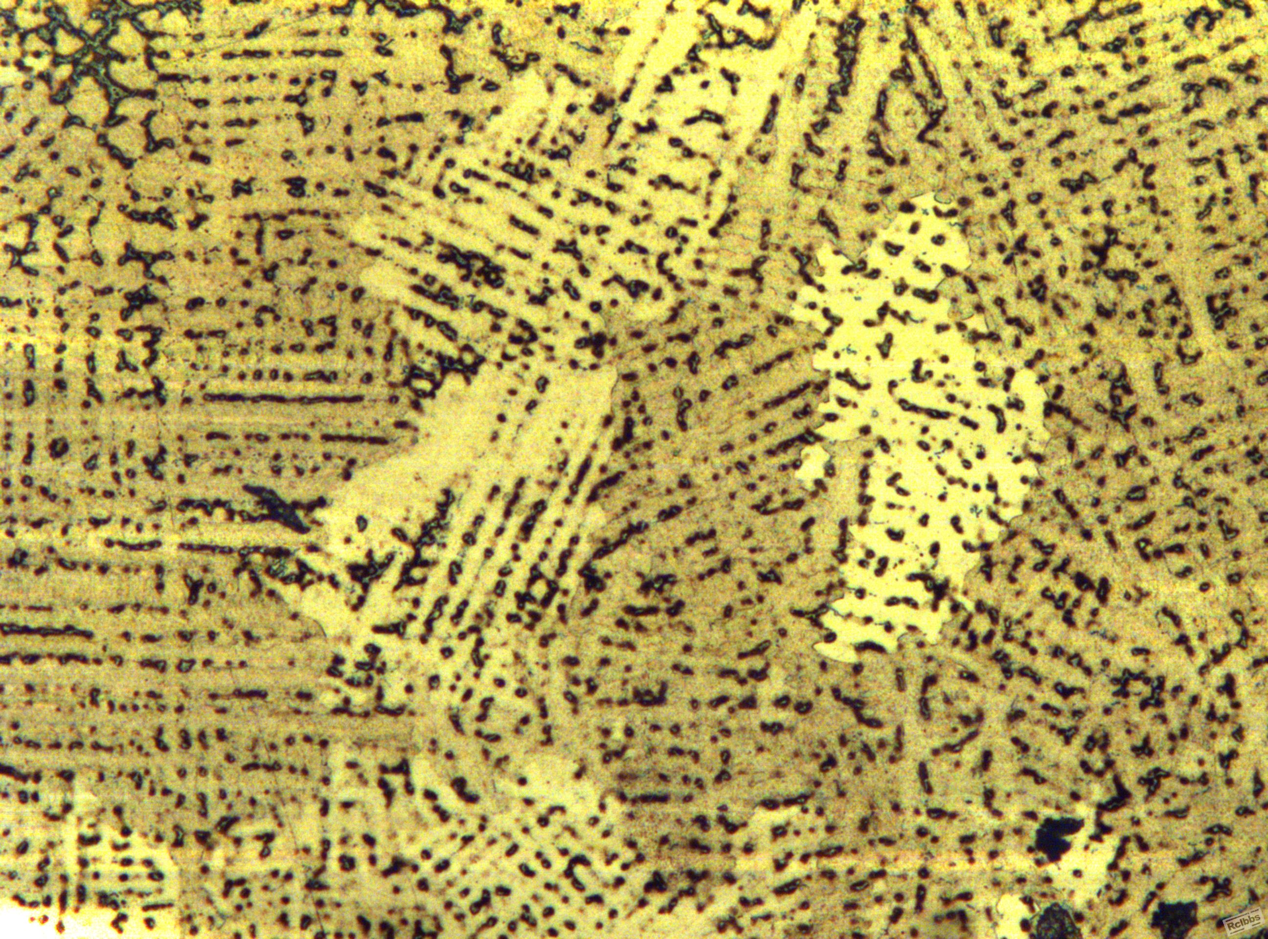 1x100-04.jpg