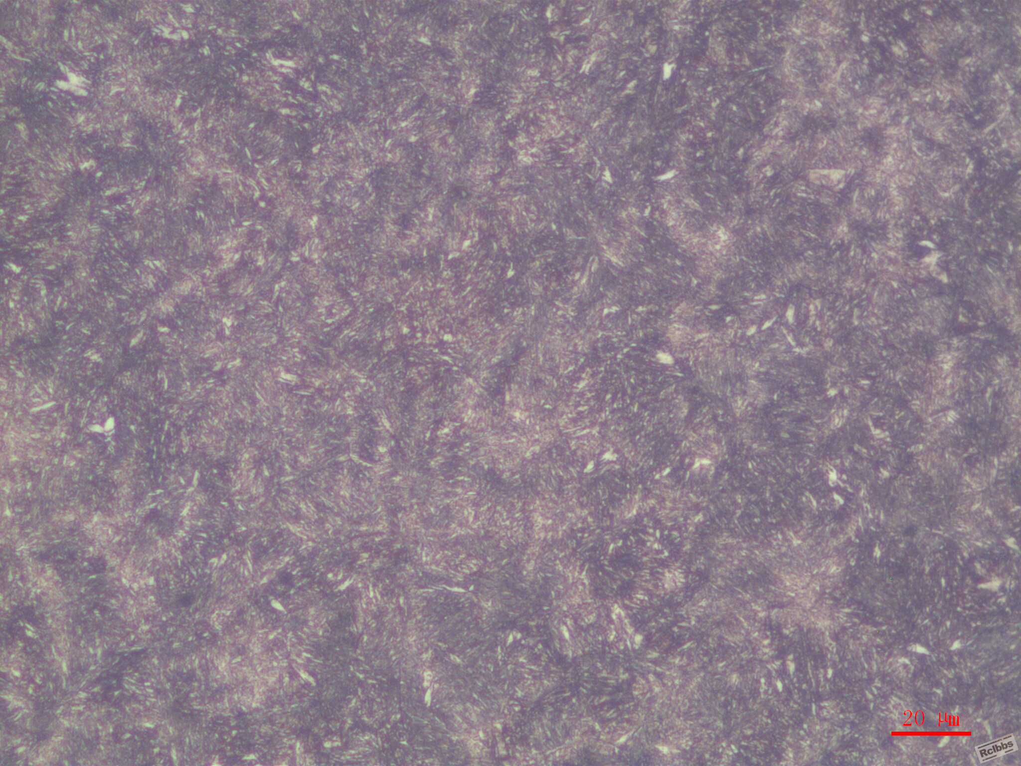 J10032-500-2.jpg