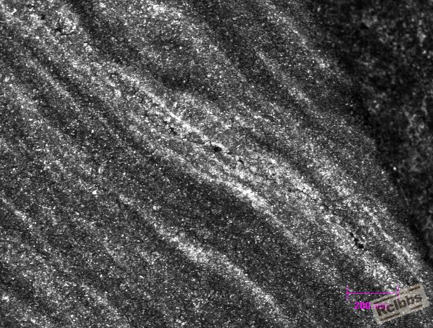 crack-100x surface induction etch.jpg