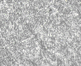 QQ截图未命名2.gif