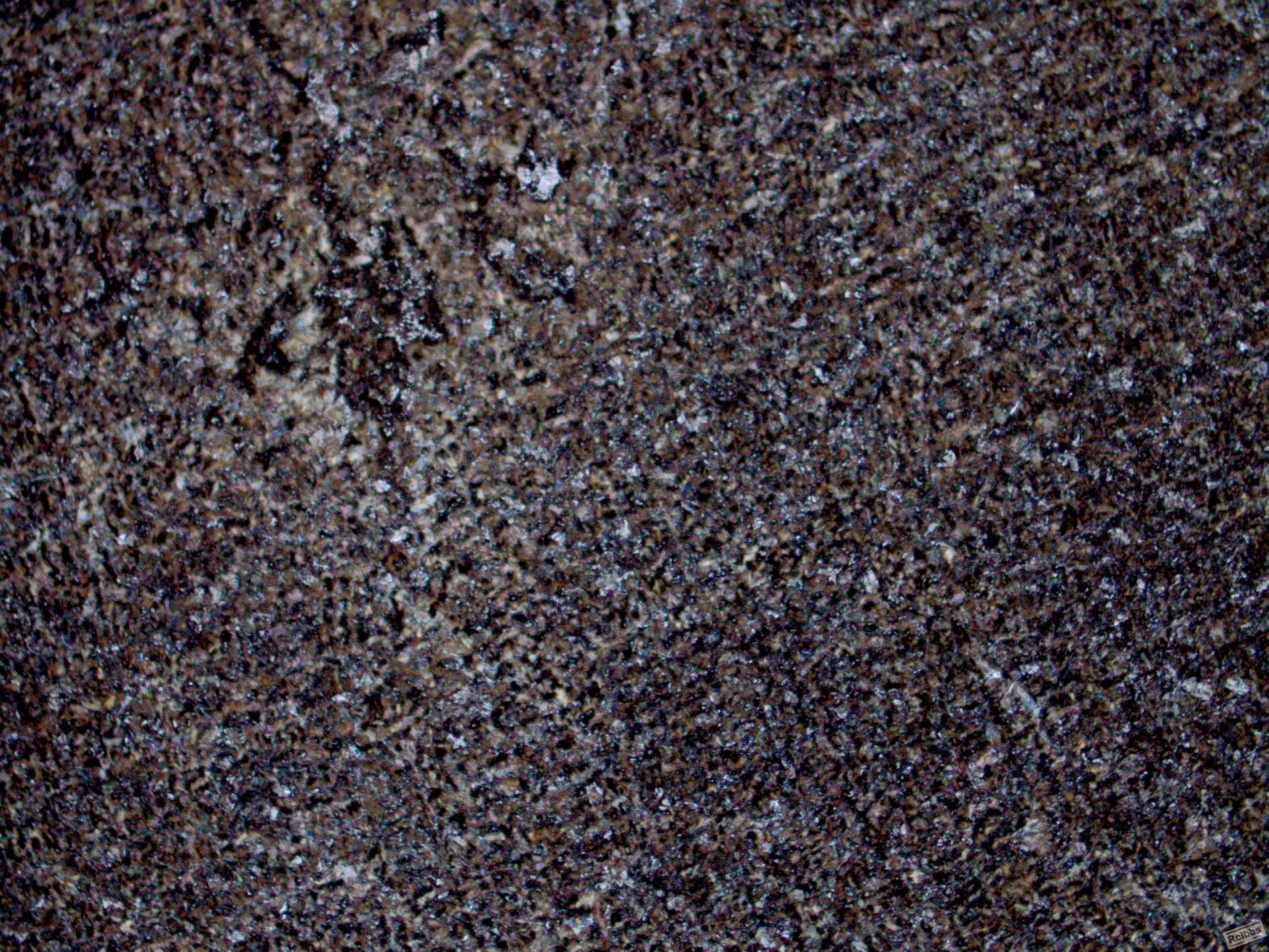 晶粒100×.jpg