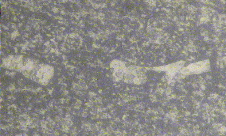 白部400放大.bmp