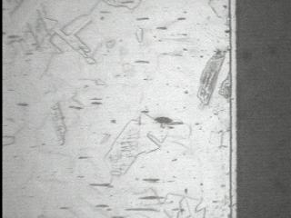 20090317-3.JPG