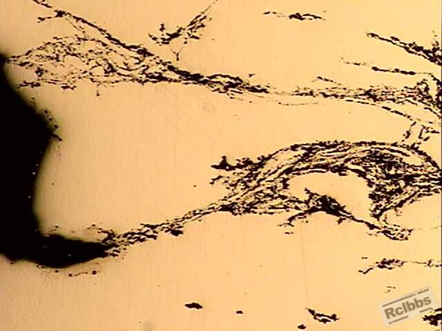 缺口处1-50X.jpg