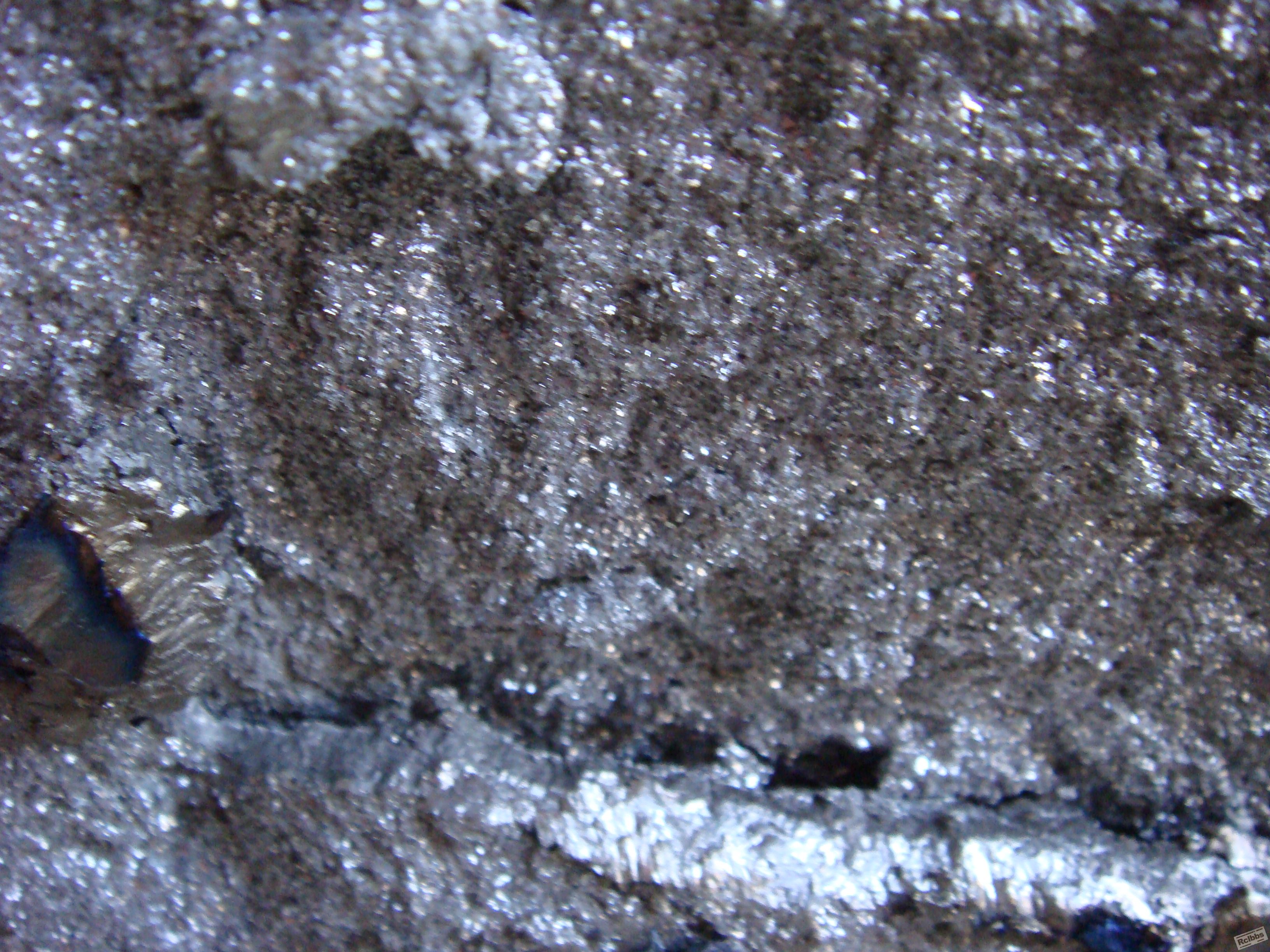 DSC00324.JPG