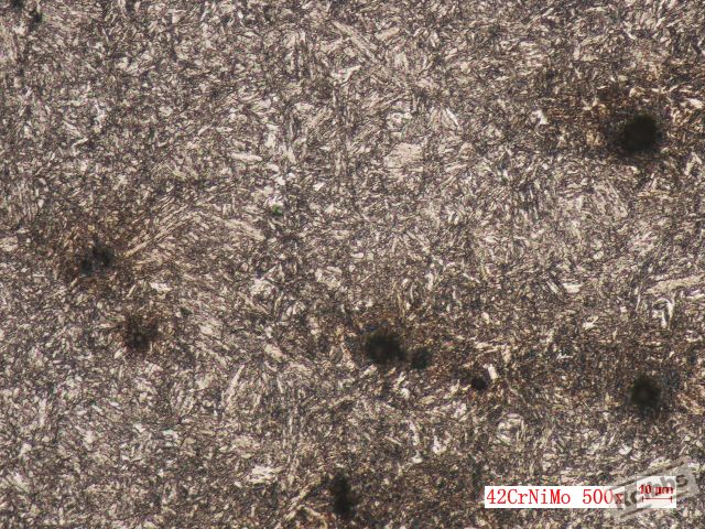 42CrNiMo 500x.jpg