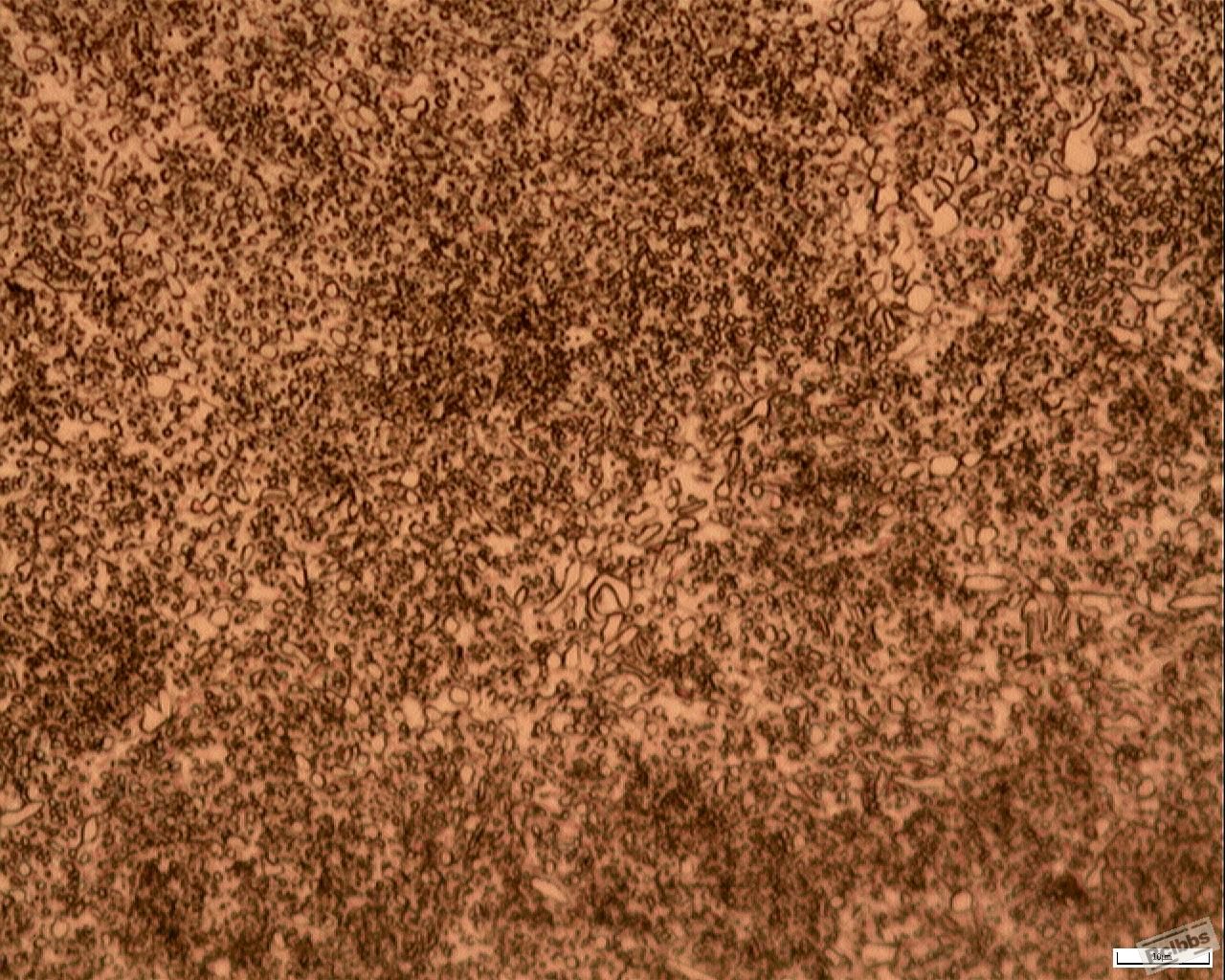 ×500