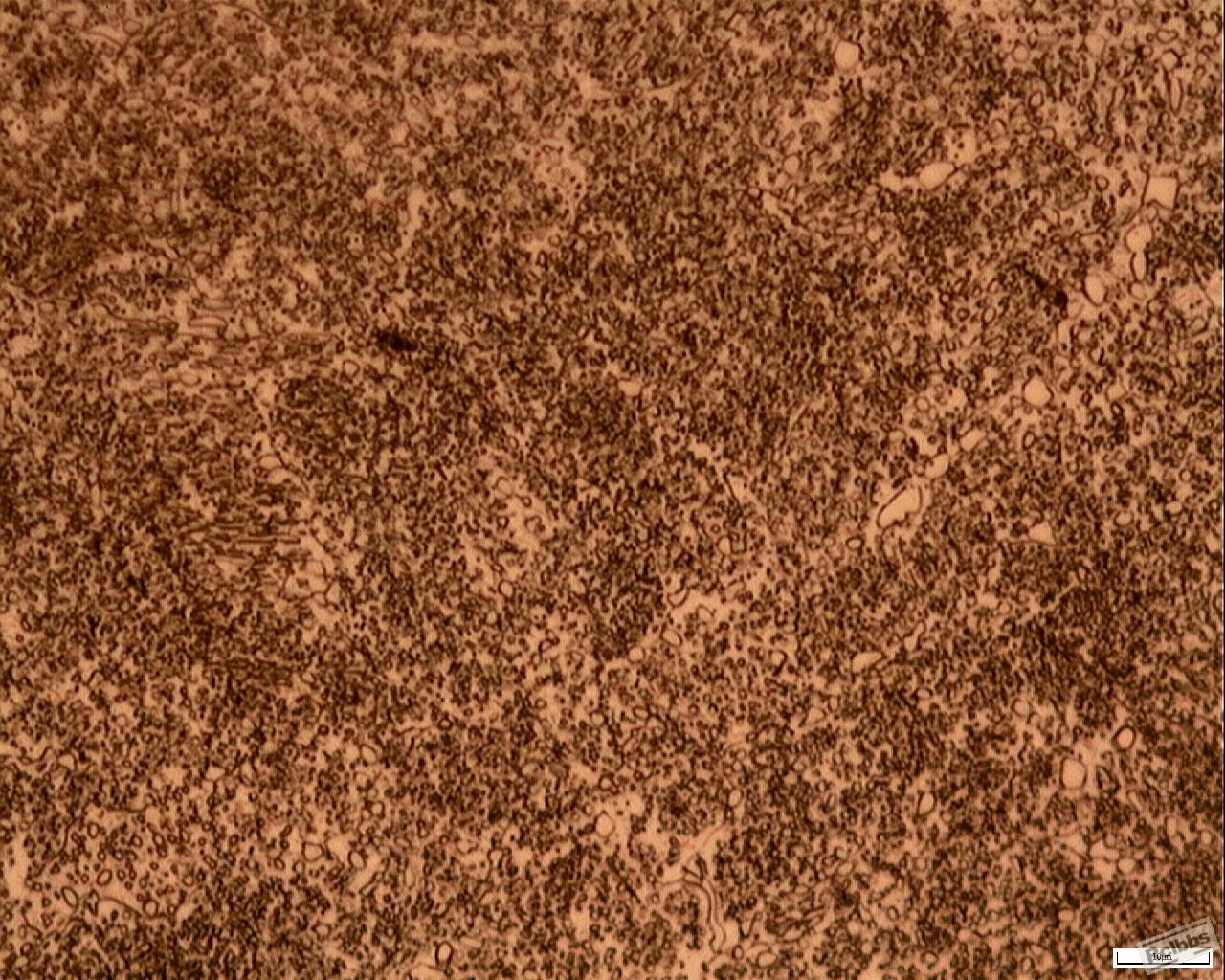 500×