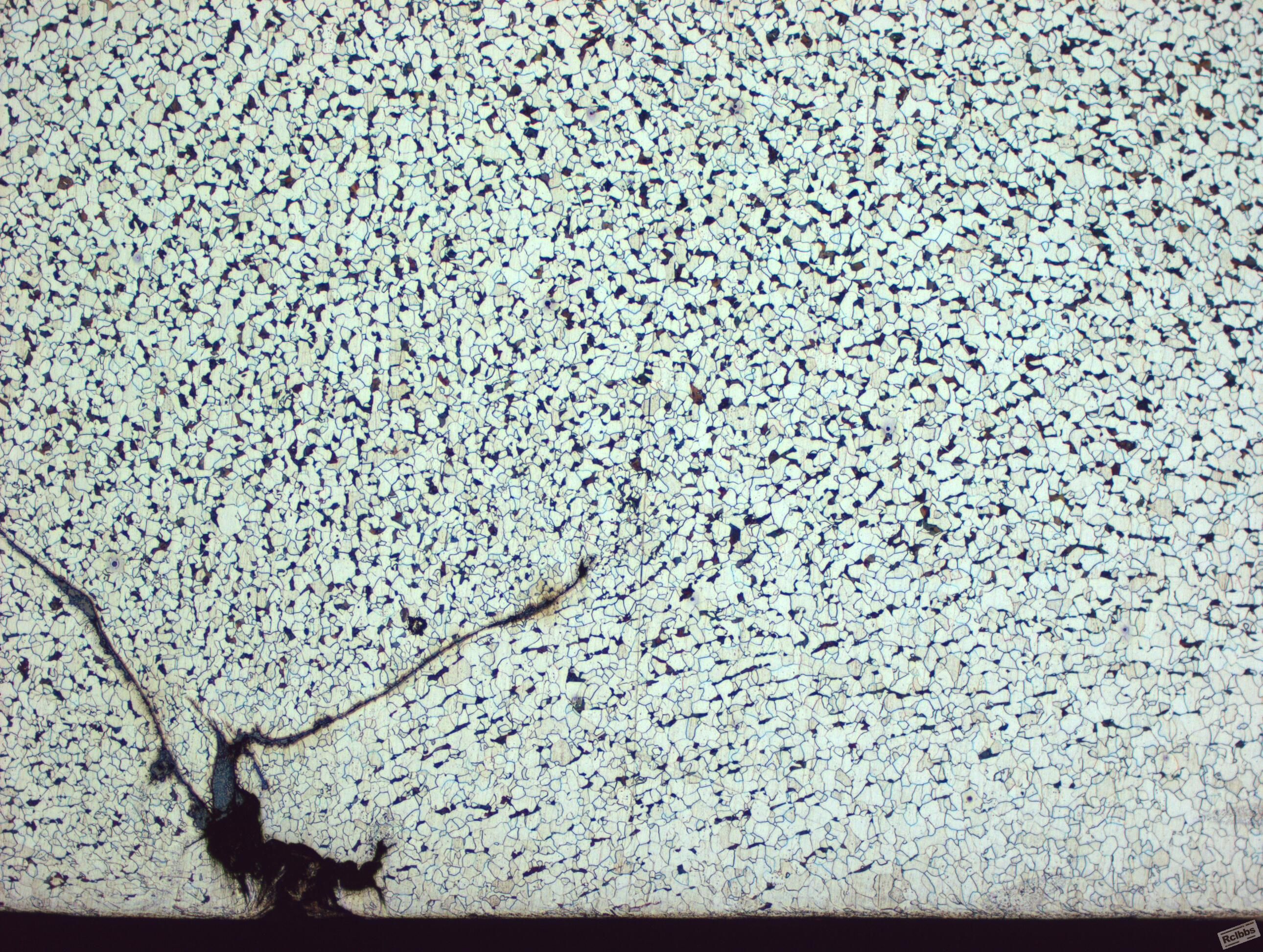 SA210A1-50B.jpg