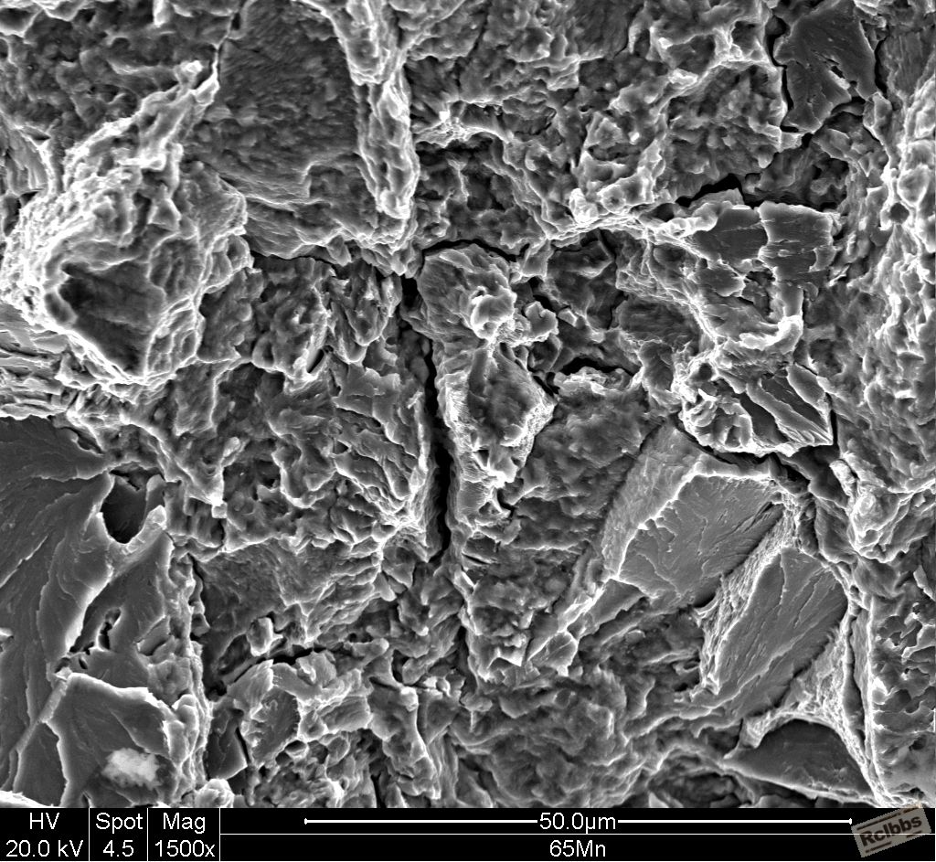 65Mn 400x_002.JPG