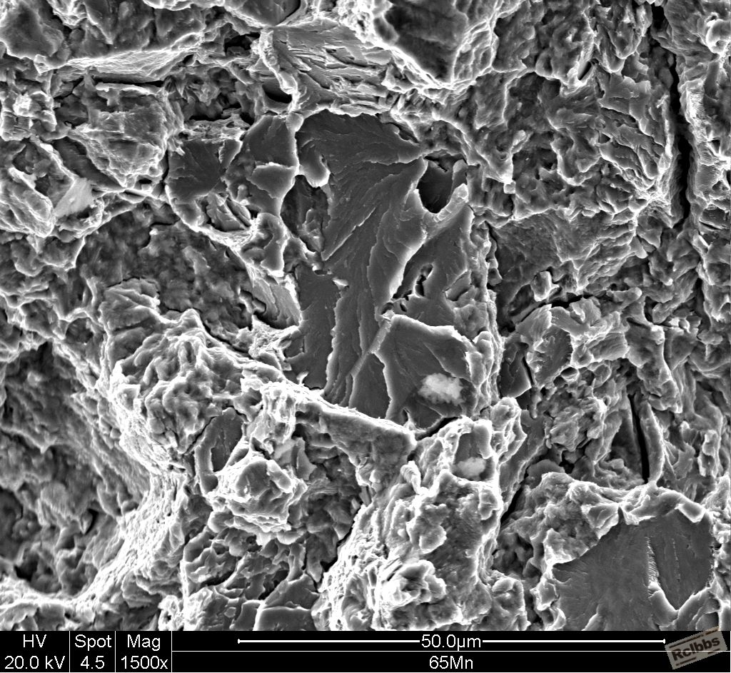 65Mn 400x_003.JPG