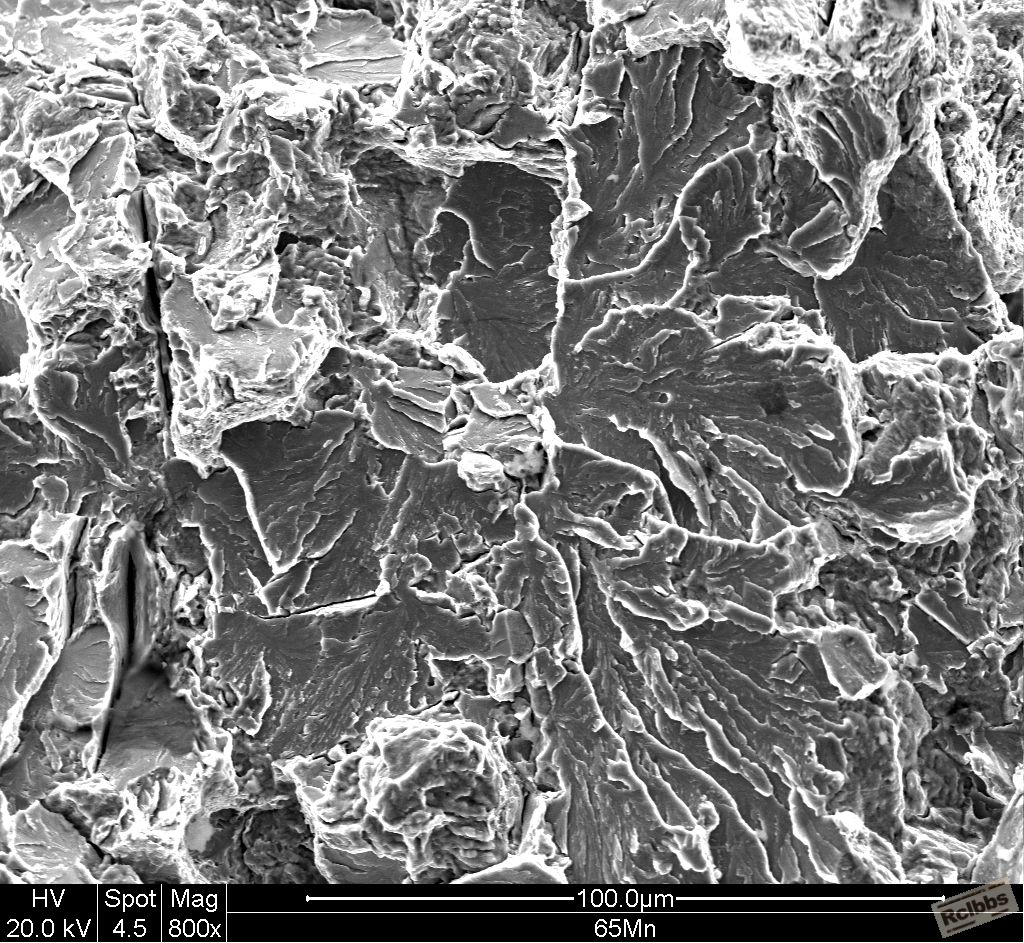 65Mn 400x_007.JPG