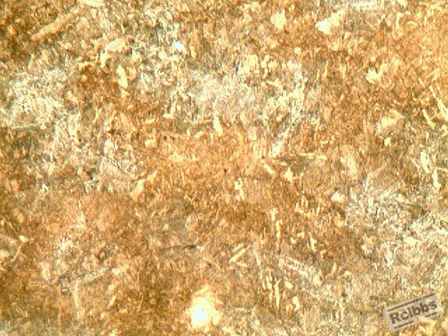 100X TS_11_05_08_55_29.jpg