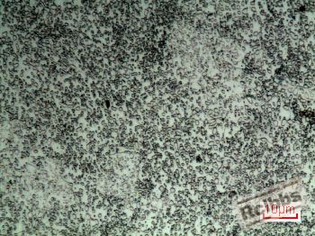 1000.1.jpg
