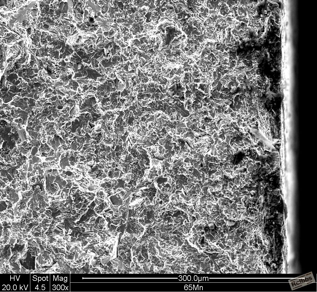 65Mn 400x_013.JPG