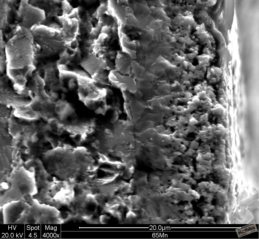 65Mn 400x_010.JPG