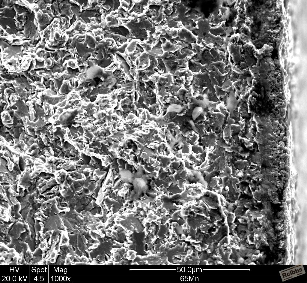 65Mn 400x_011.JPG