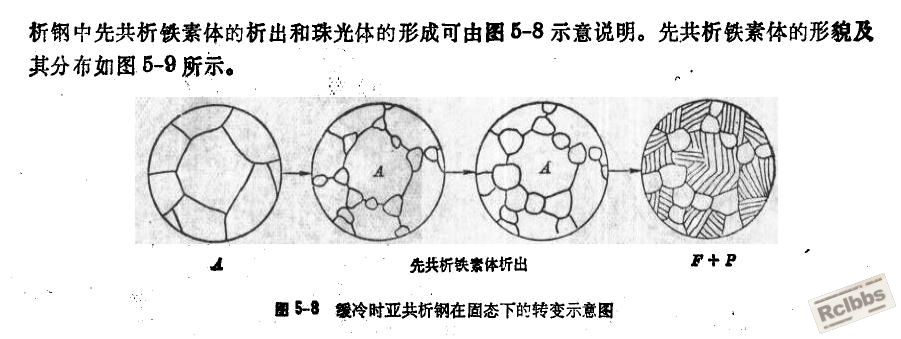 亚共析钢.JPG
