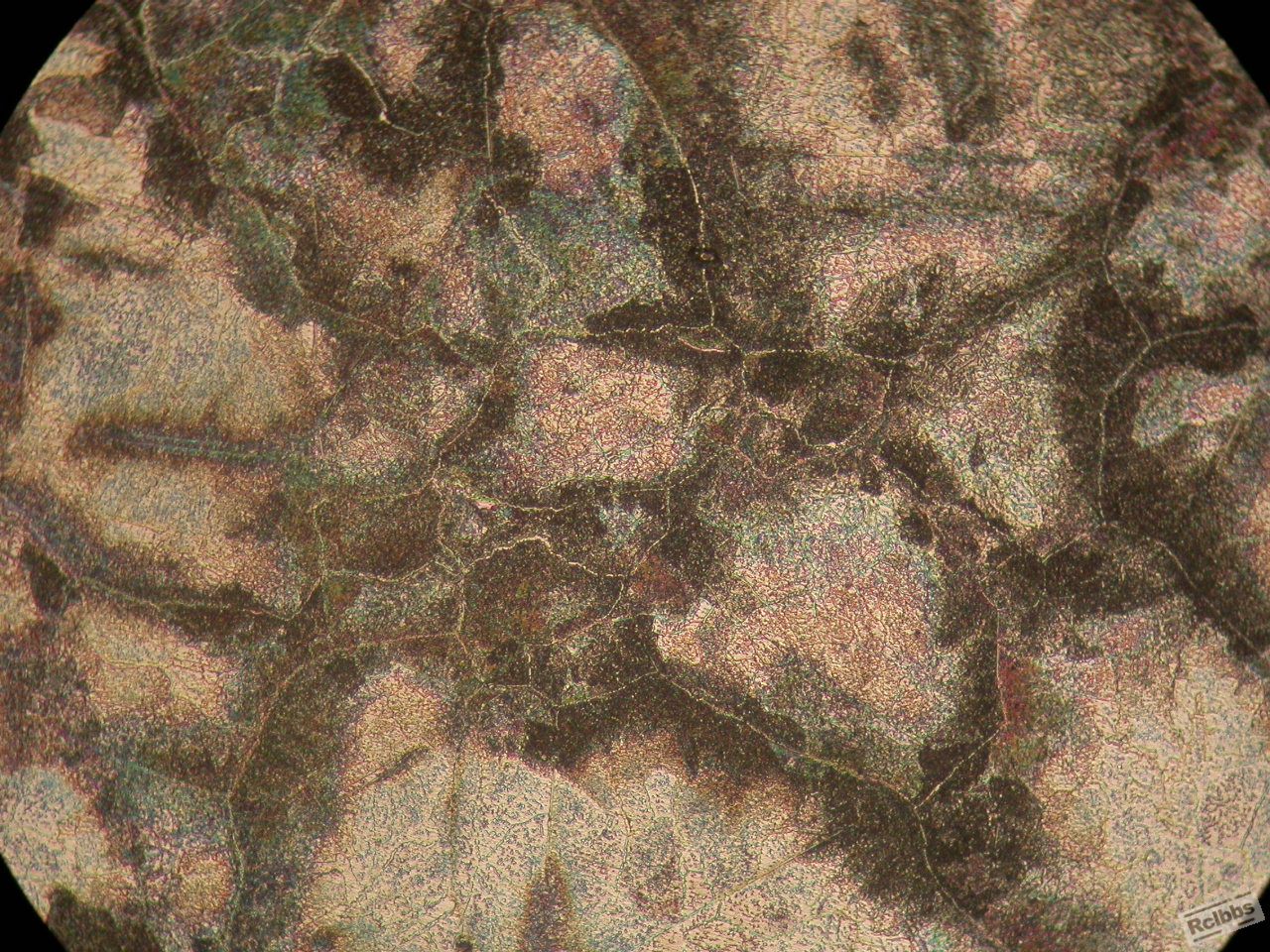 200x