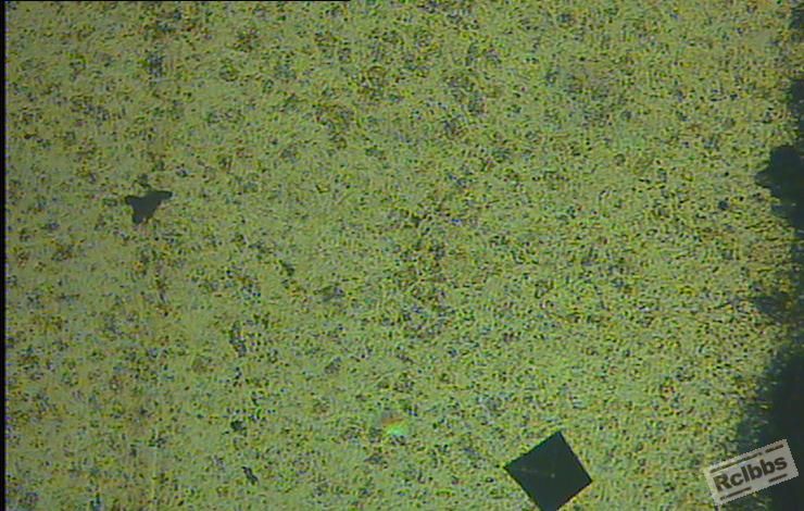 12-11.16-500X.JPG