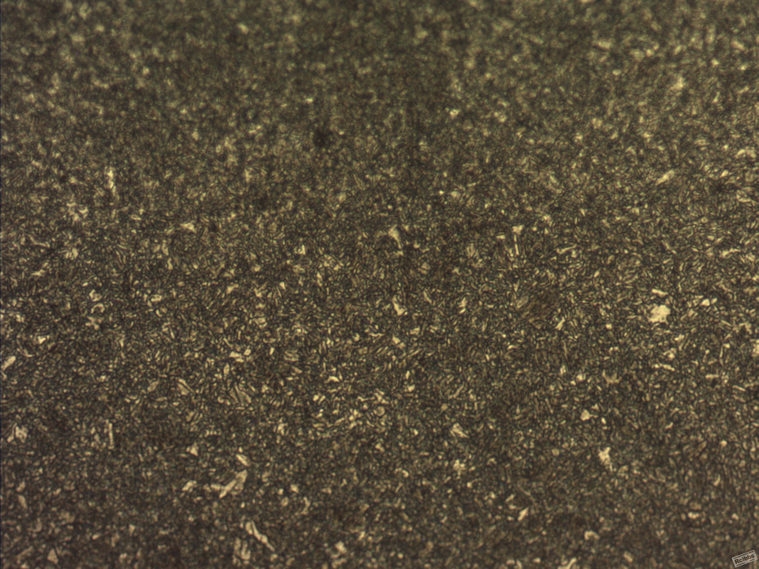 9-6  500X.JPG
