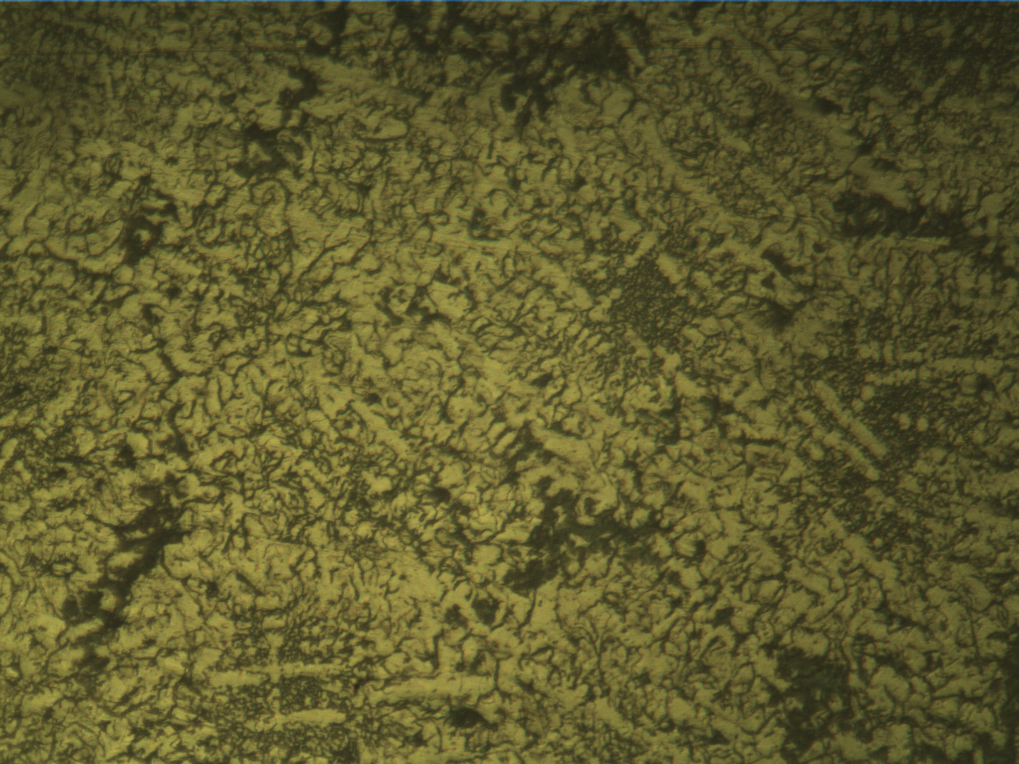 16c-0205B2,100x灰铁（腐蚀）-2.jpg