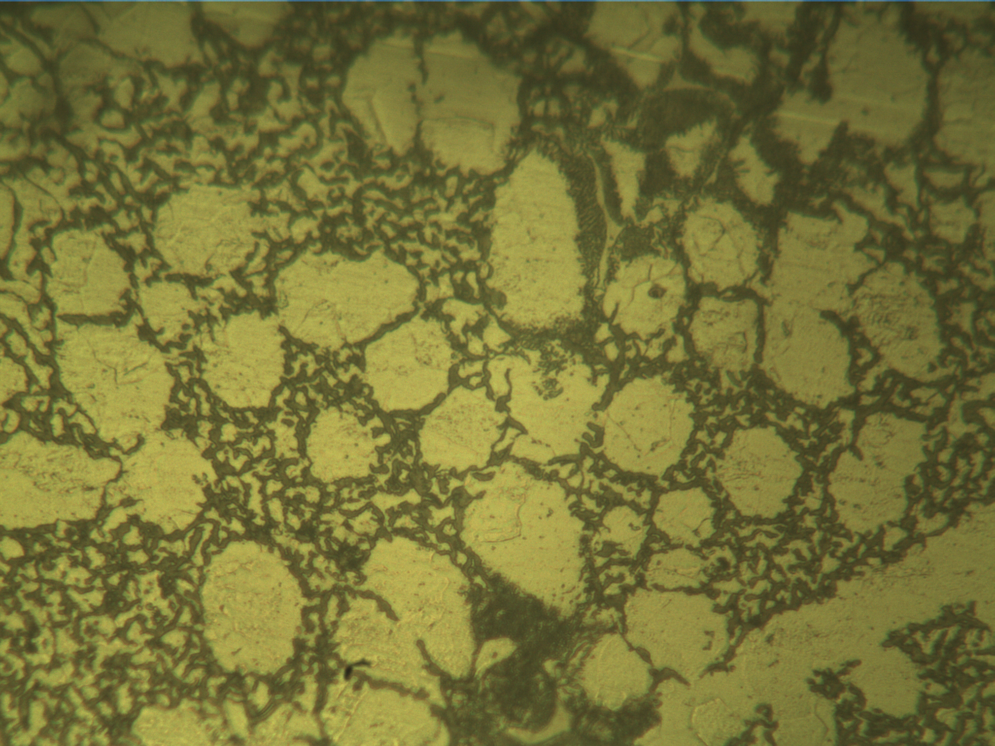 16c-0205B2,400x灰铁（腐蚀）-3.jpg