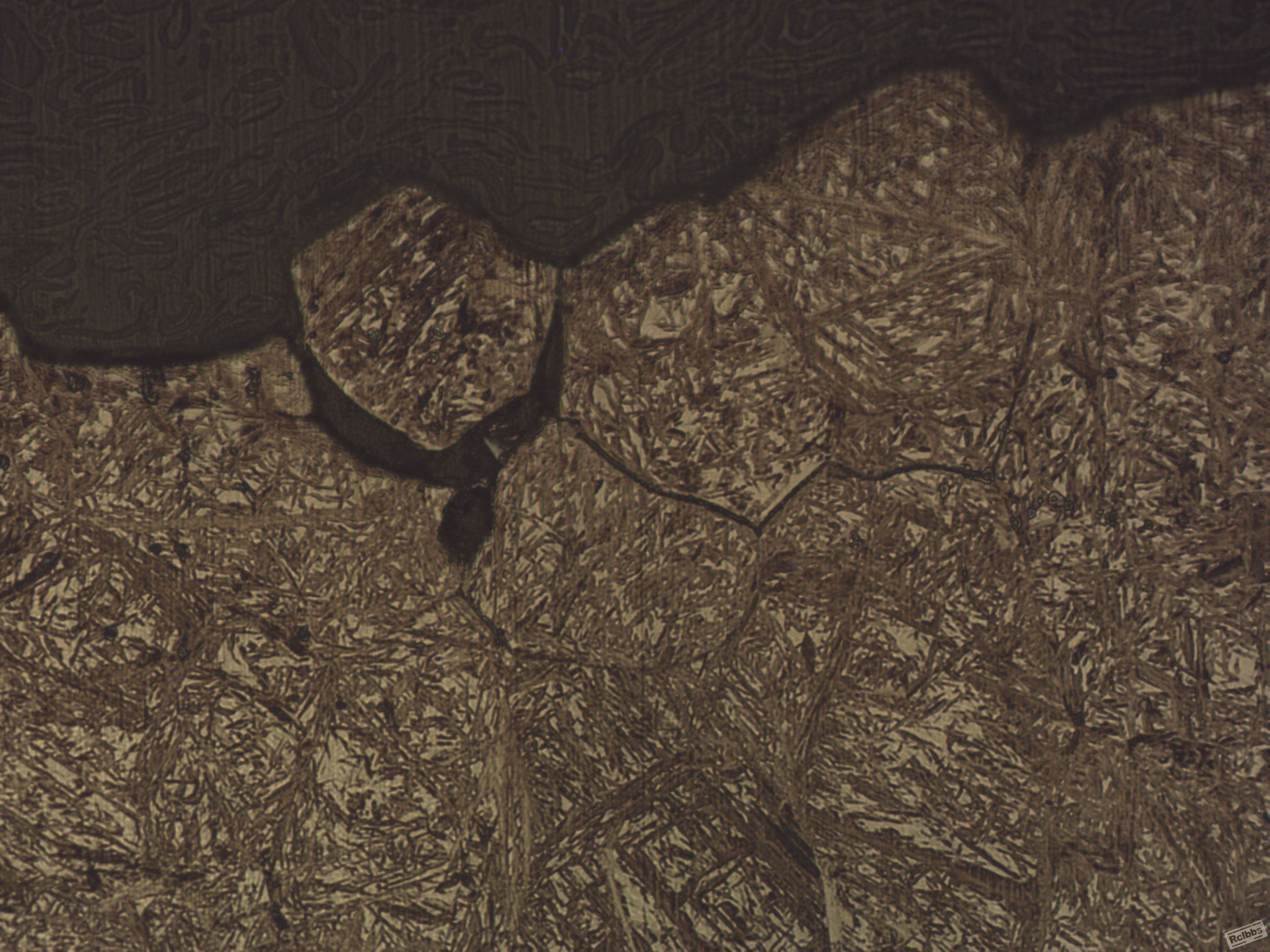 盘条7   x500.JPG
