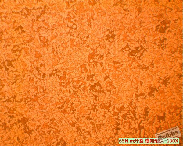 20111024172149.jpg