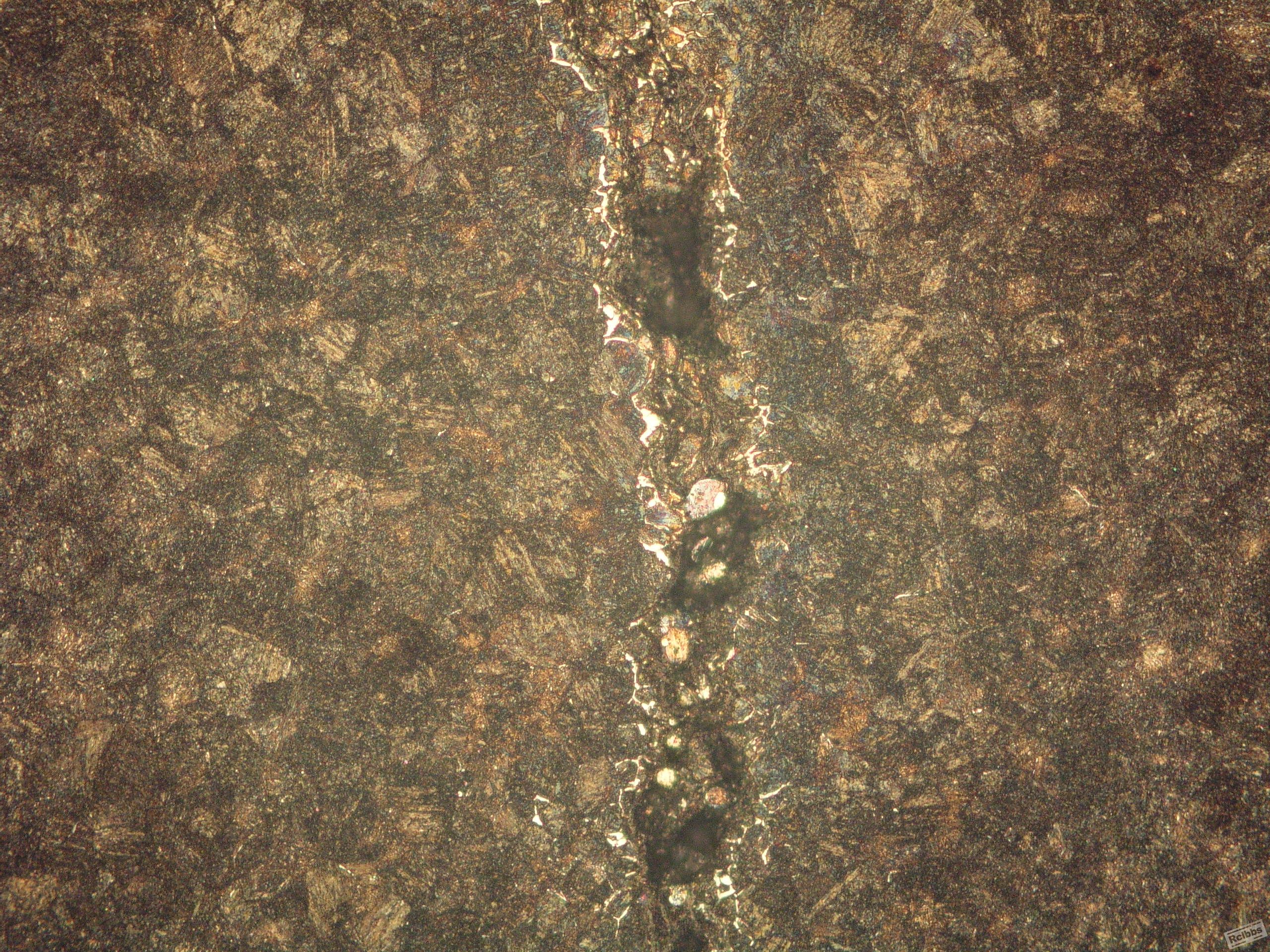 P1010079.JPG
