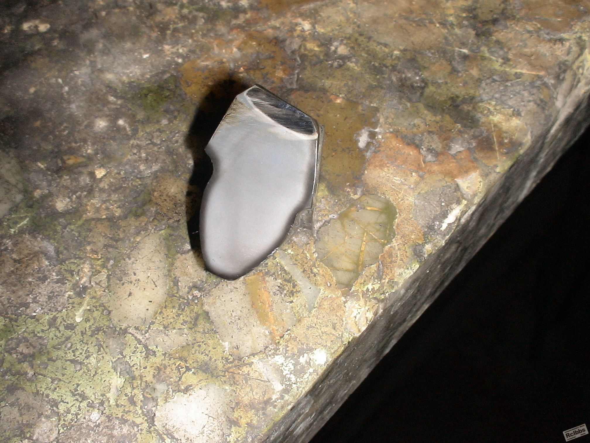 DSC00364.JPG