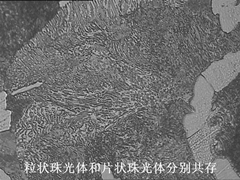 1_副本_副本.jpg
