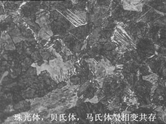 5_副本_副本.jpg