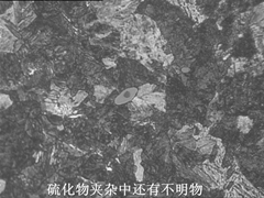 6_副本_副本.jpg
