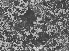 12_副本_副本.jpg