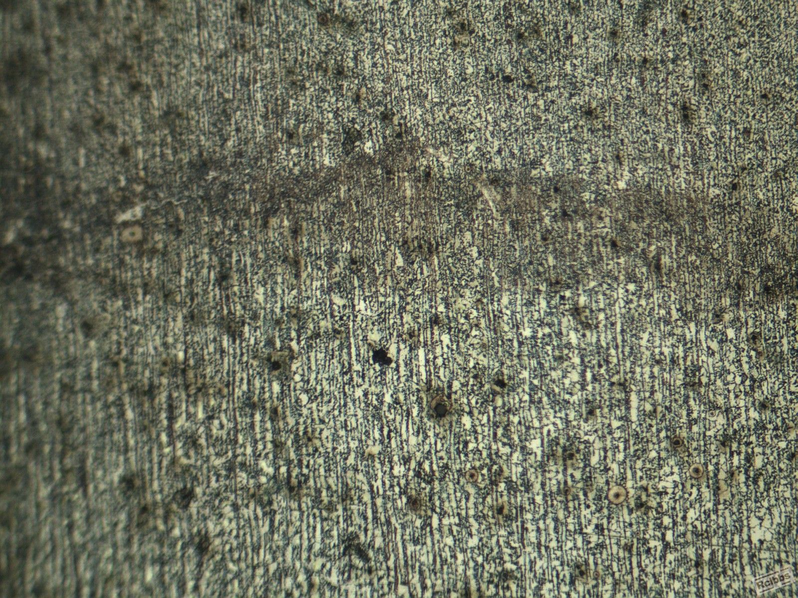 ECH10X0037IMG.jpg