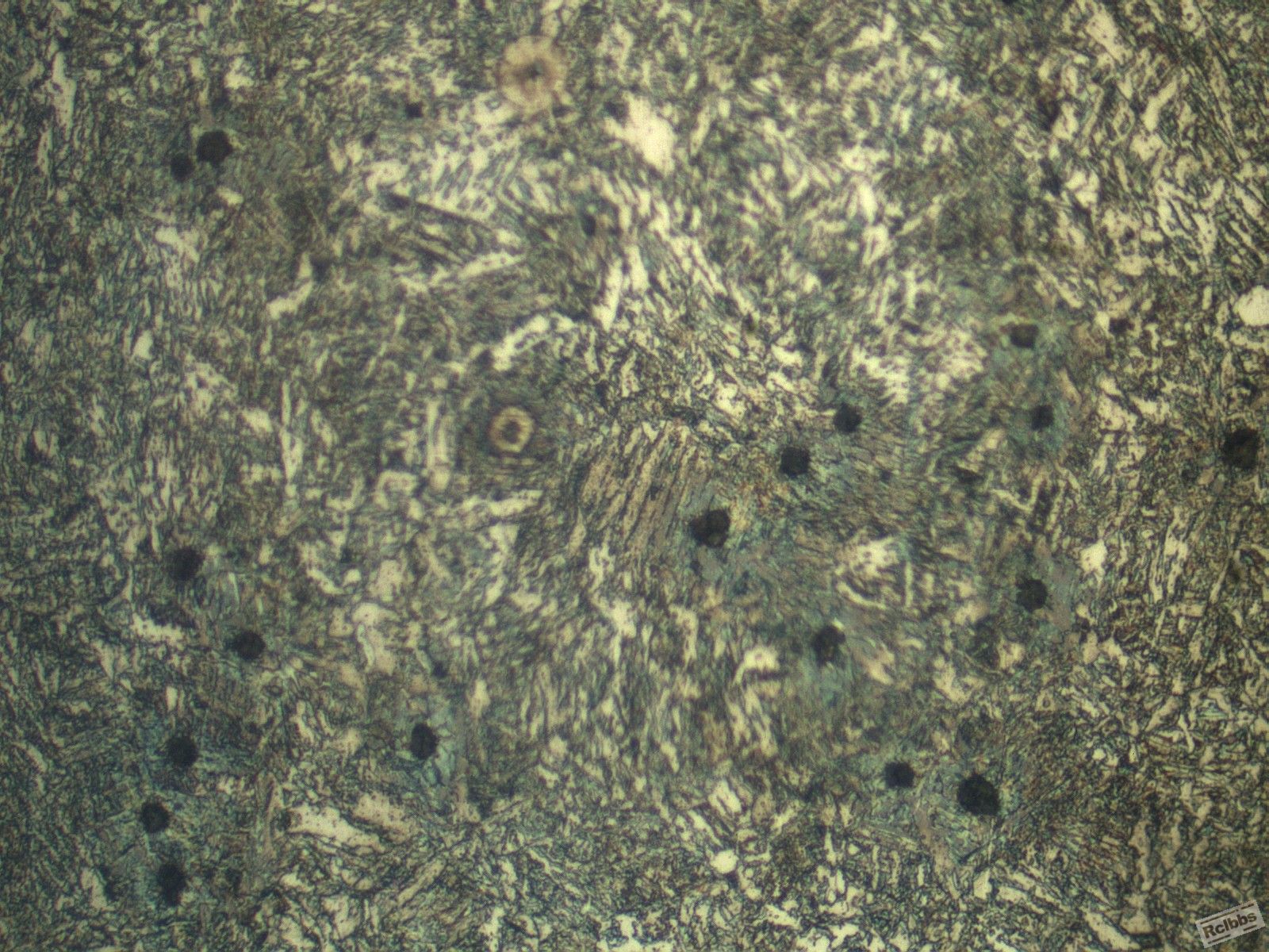 ECH40X0033IMG.jpg