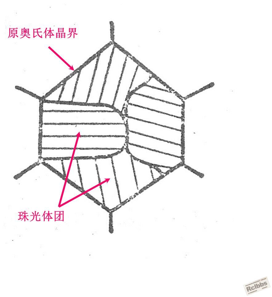 珠光体团.jpg