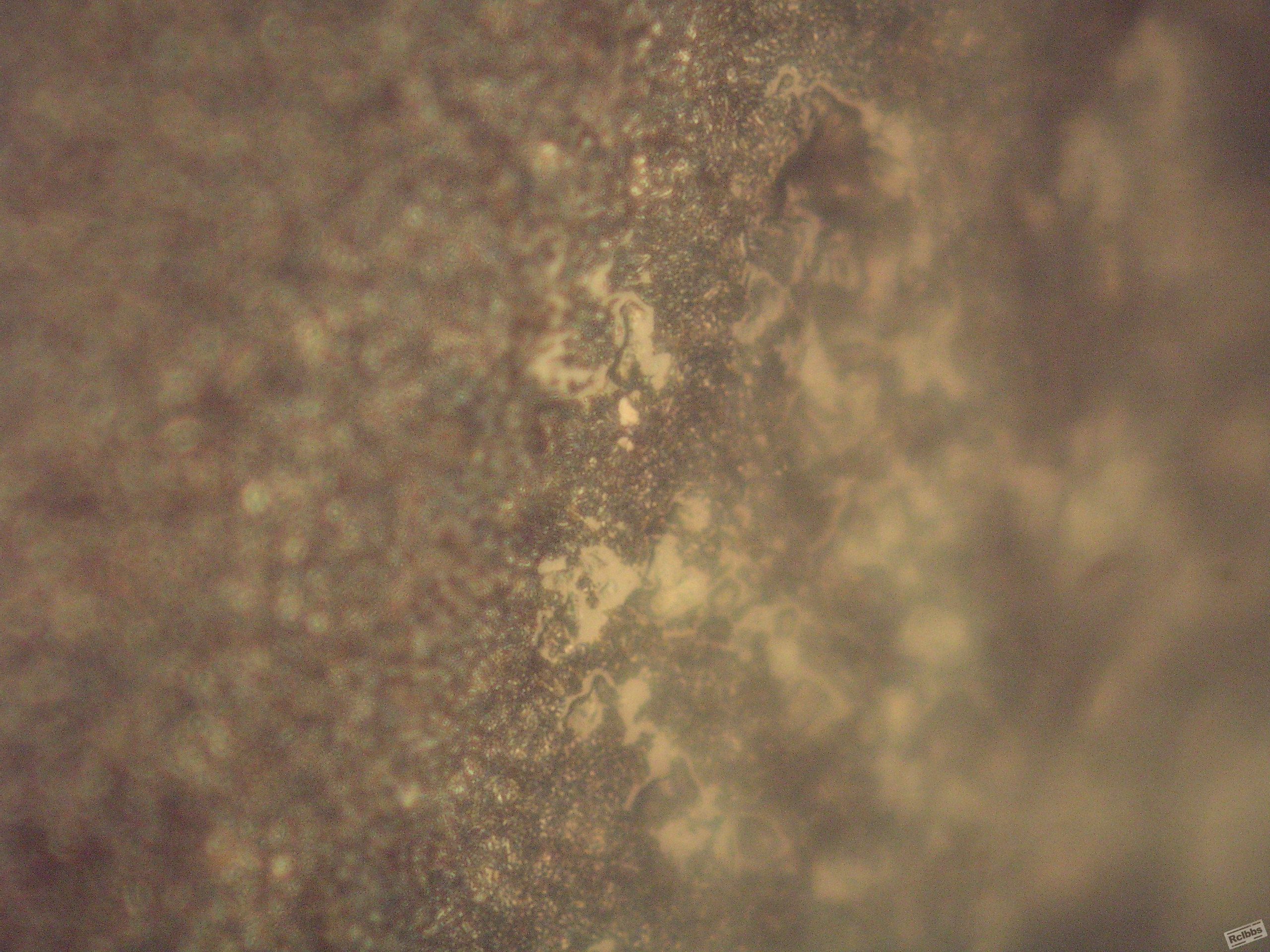 P1010090.JPG