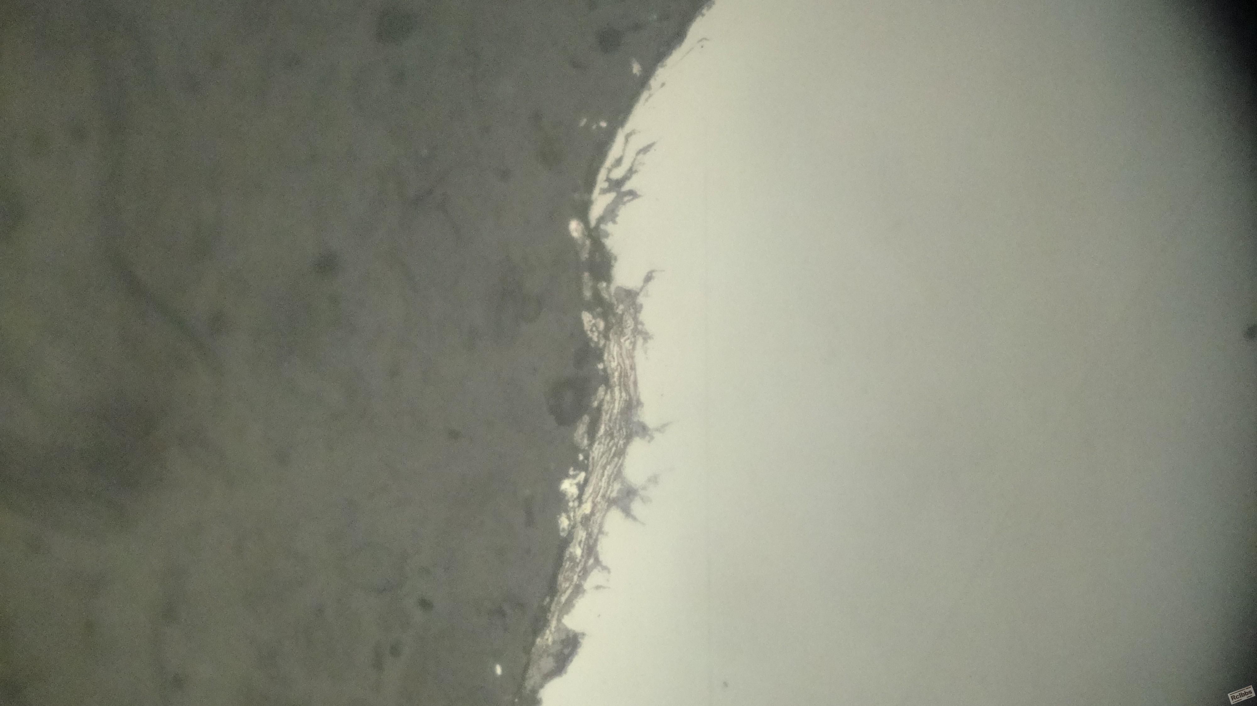 400X未浸杆径区1.jpg