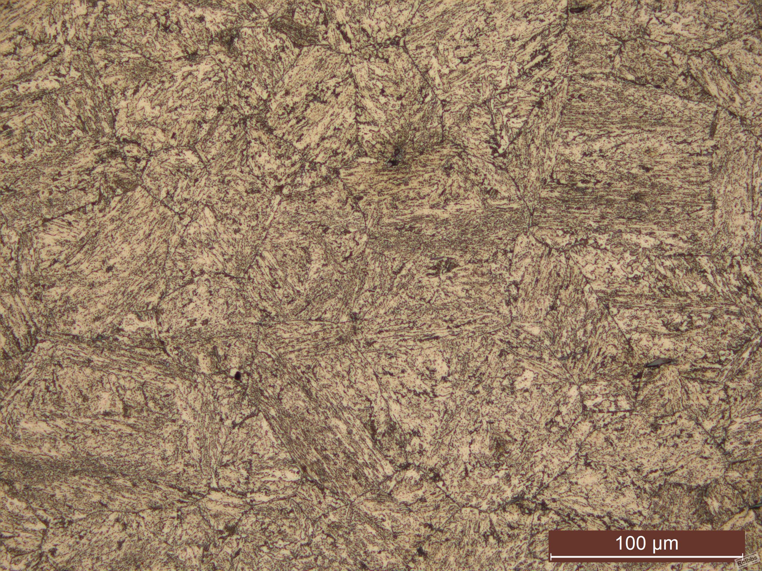MultiFocus0008 - Copy.jpg