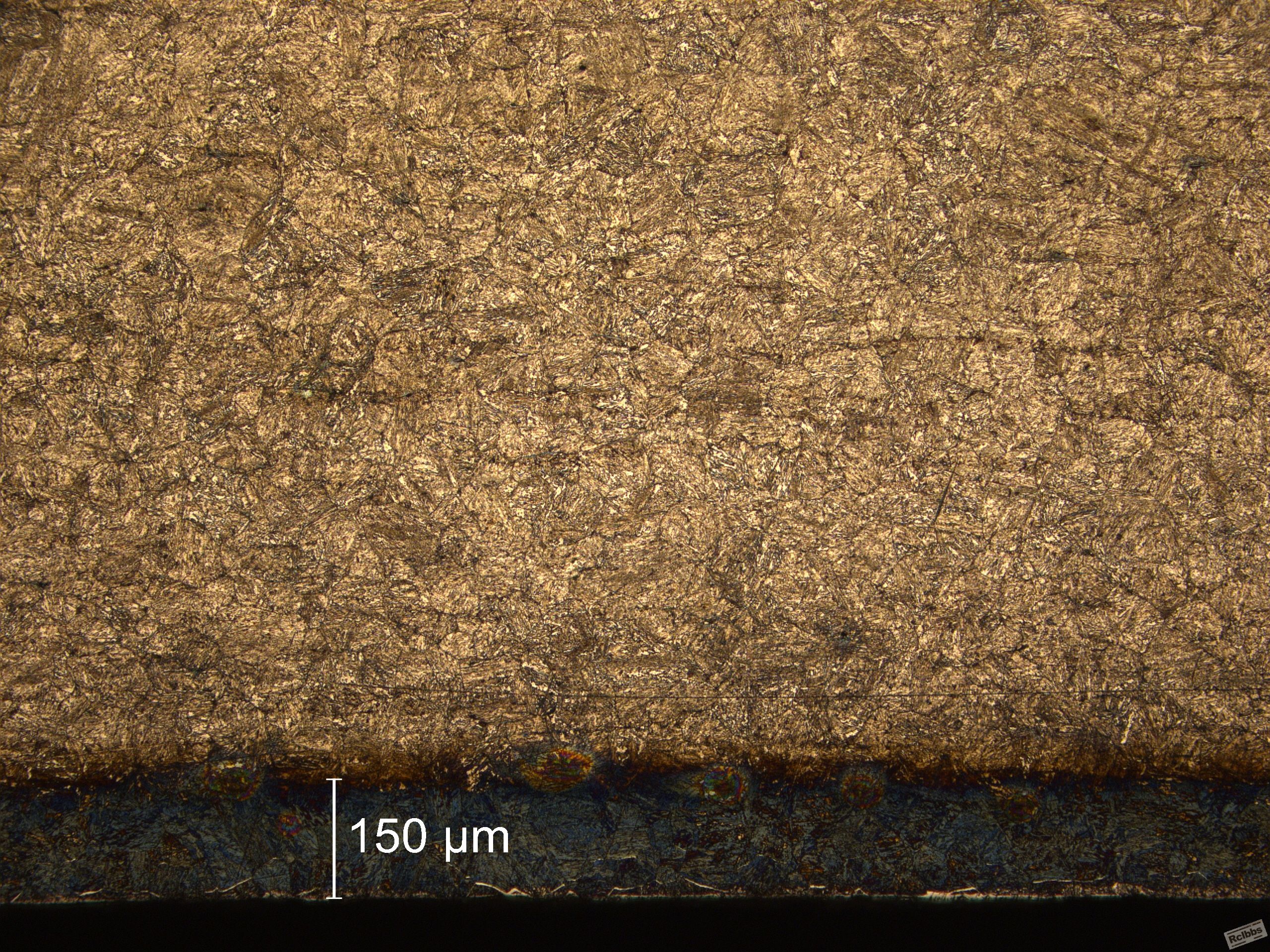 MultiFocus0011 - Copy.jpg